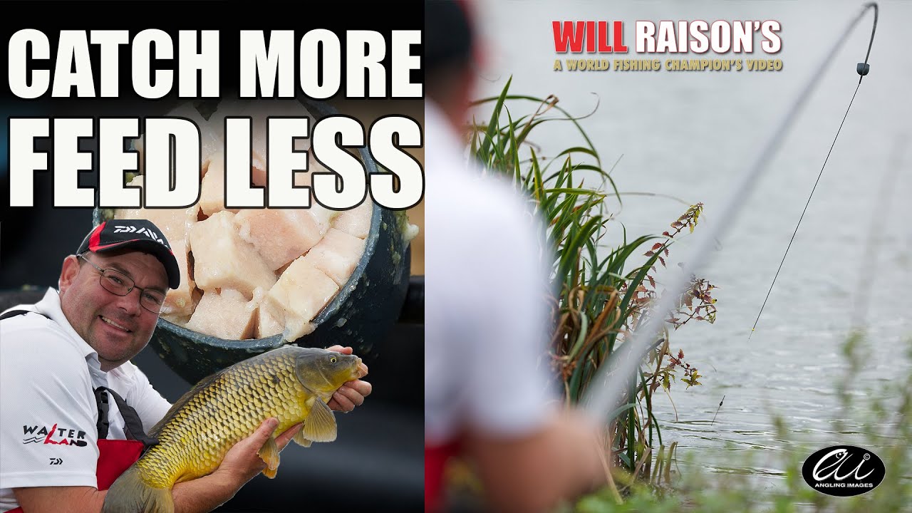 Margin Meat Fishing Catch More Fish With Less Feed | Will Raison Fishing