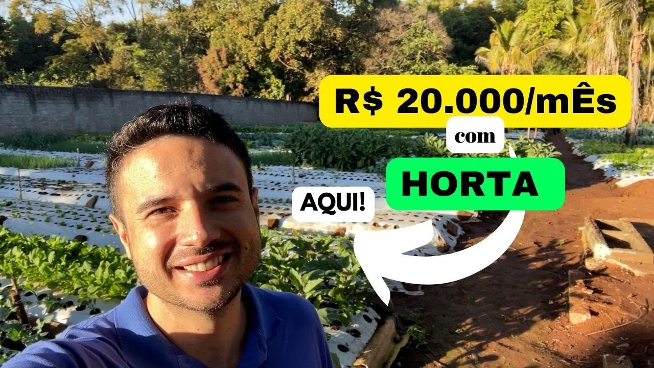 O que é possível faturar em 2.000m² de horta? Mostrando na prática