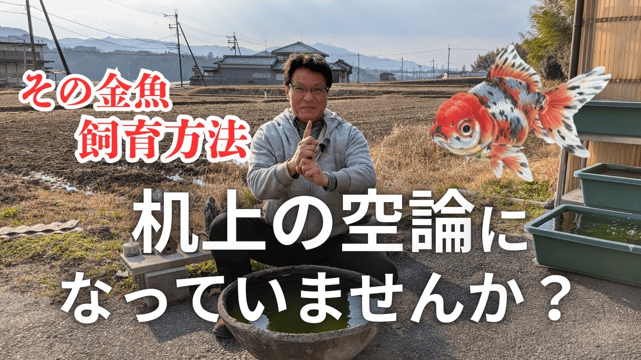 その金魚飼育、机上の空論になっていませんか？