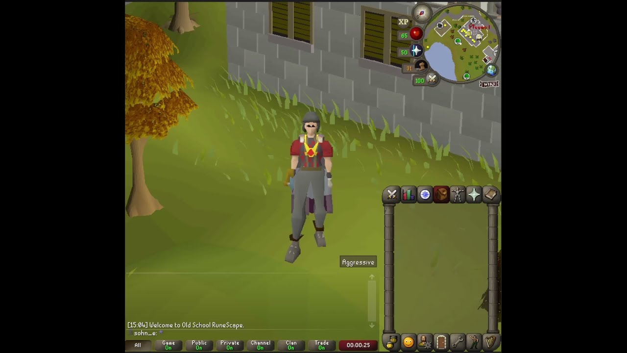 Skilling for Graceful [Scuffed IM #2]