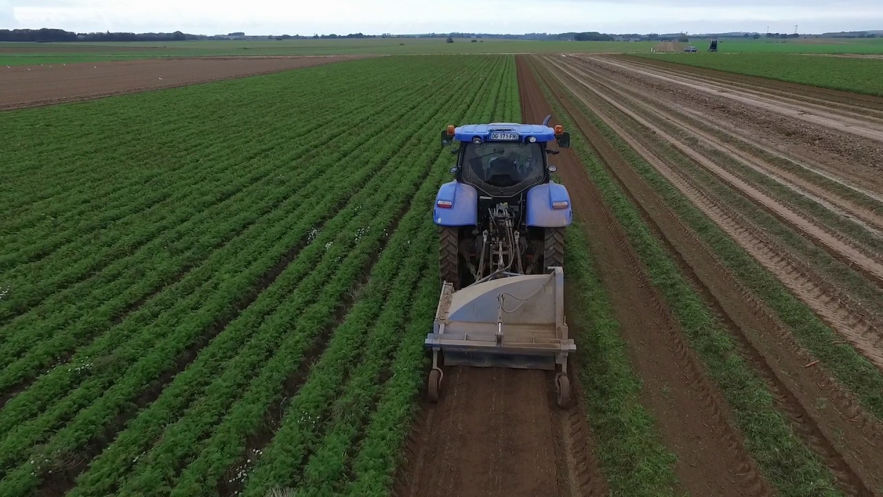 FILM RÉCOLTE CAROTTES DRONE