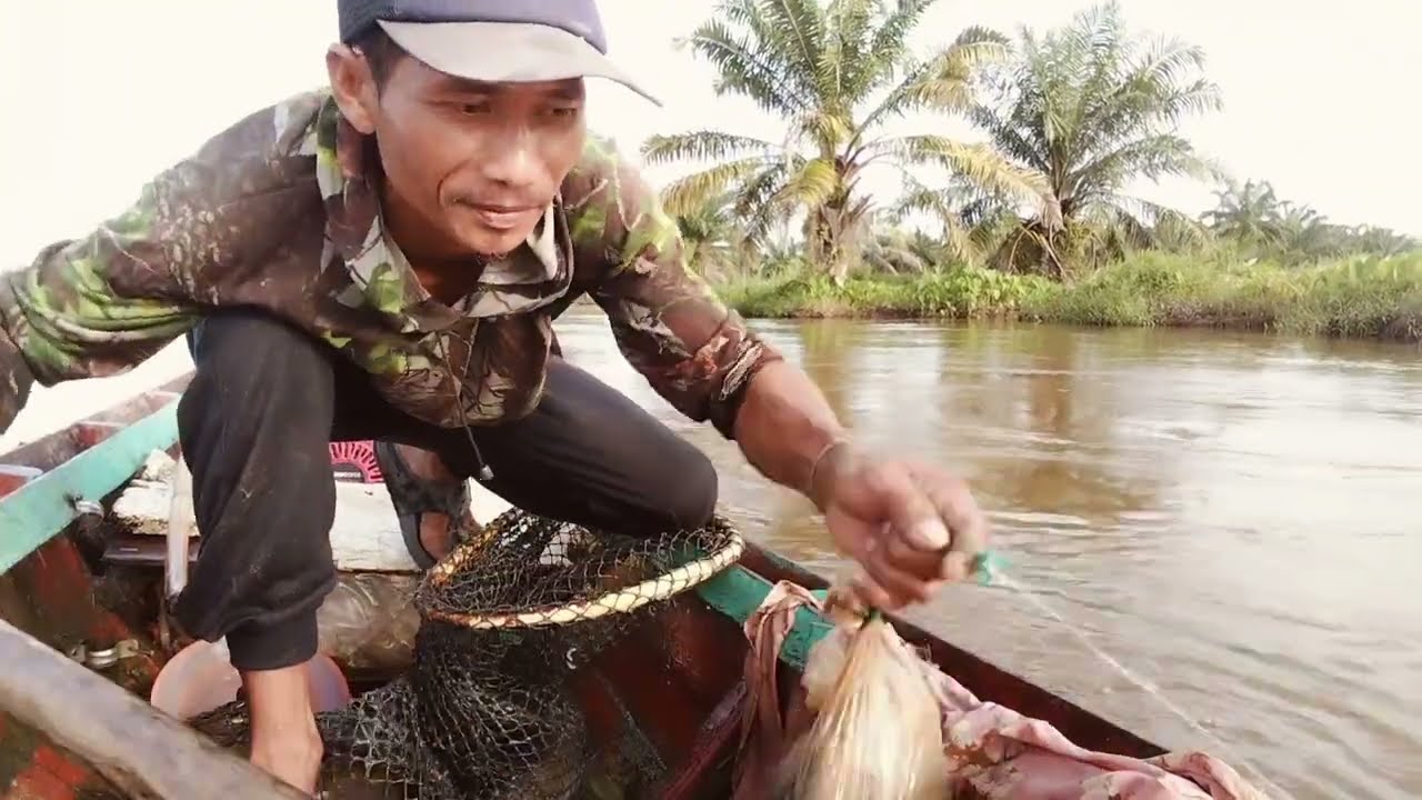 Pasang tajur di lae cenendang ikan sidat nya pendek2