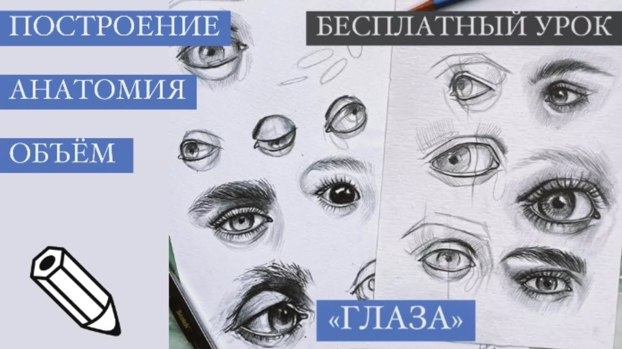 Как нарисовать глаз карандашом: построение, анатомия, объём глаза в рисунке. Пошаговый урок.