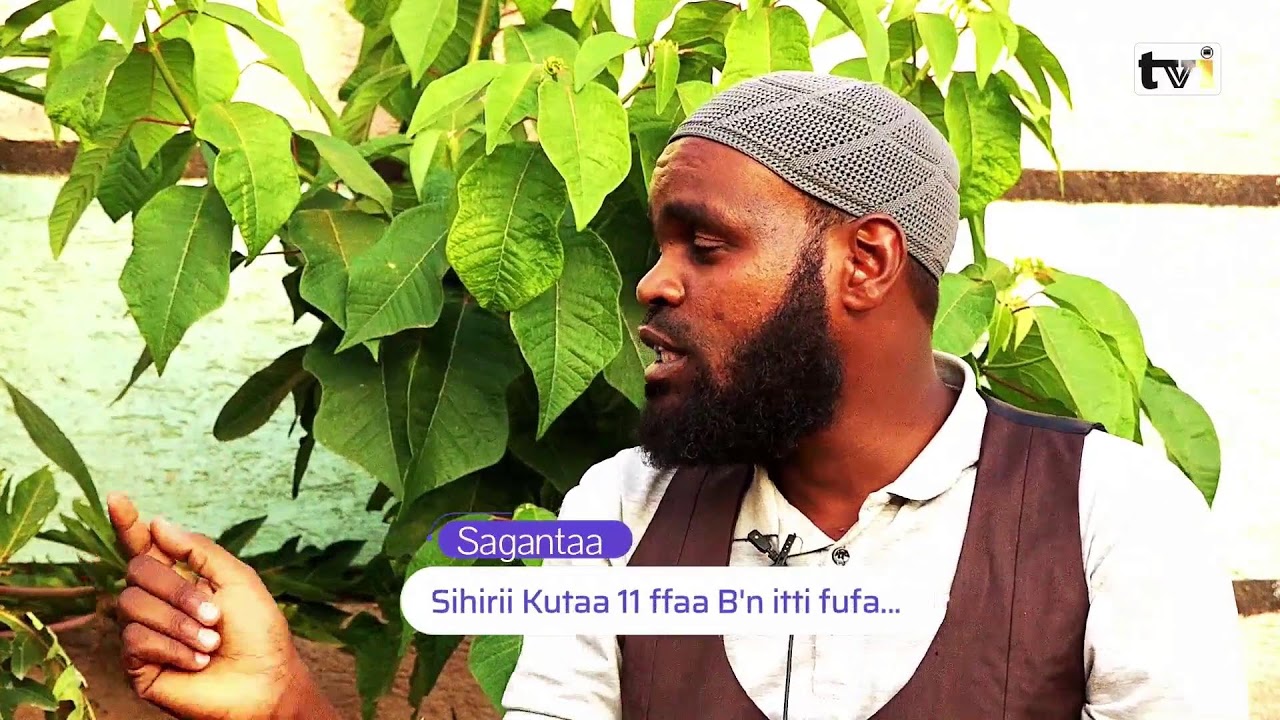 Sagantaa Sihirii Kutaa 11 ffaa A Sheek Sharafaa waliin gaggeeffame