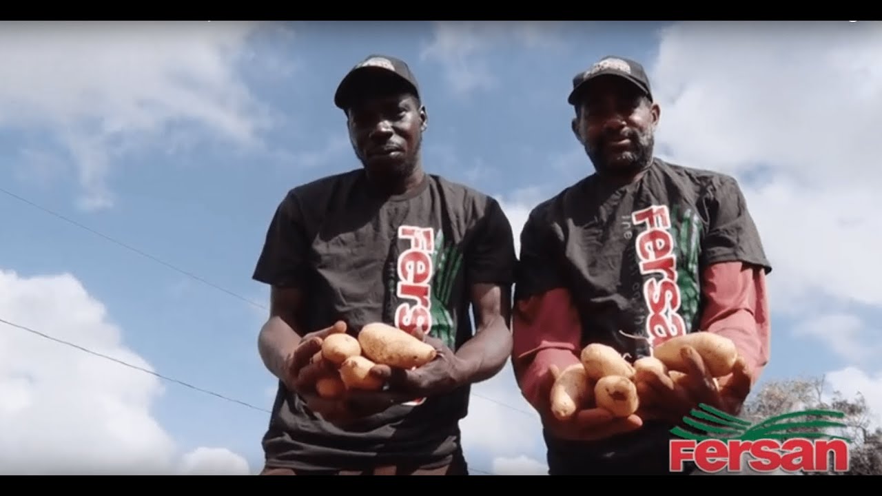 Irish Potato Farmer John Whinstanley