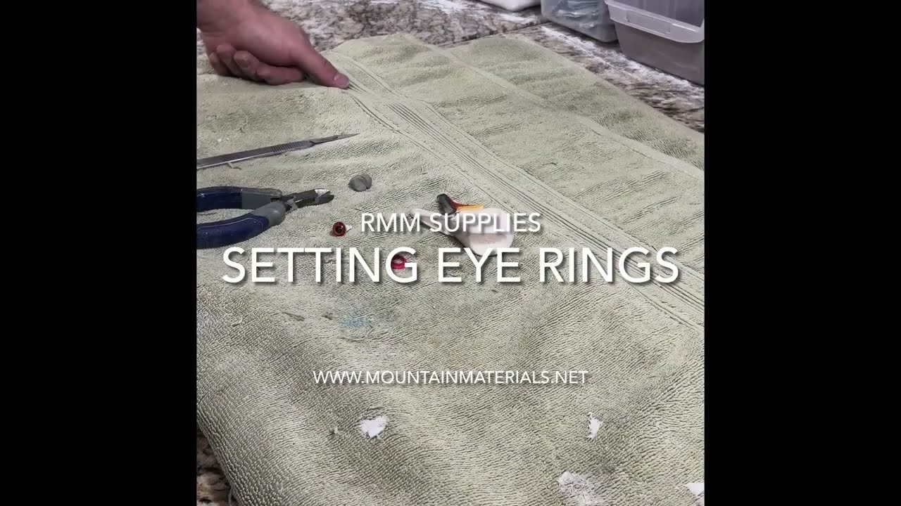 Bird Taxidermy- Setting Wood Duck Eye-rings - RMM Supplies