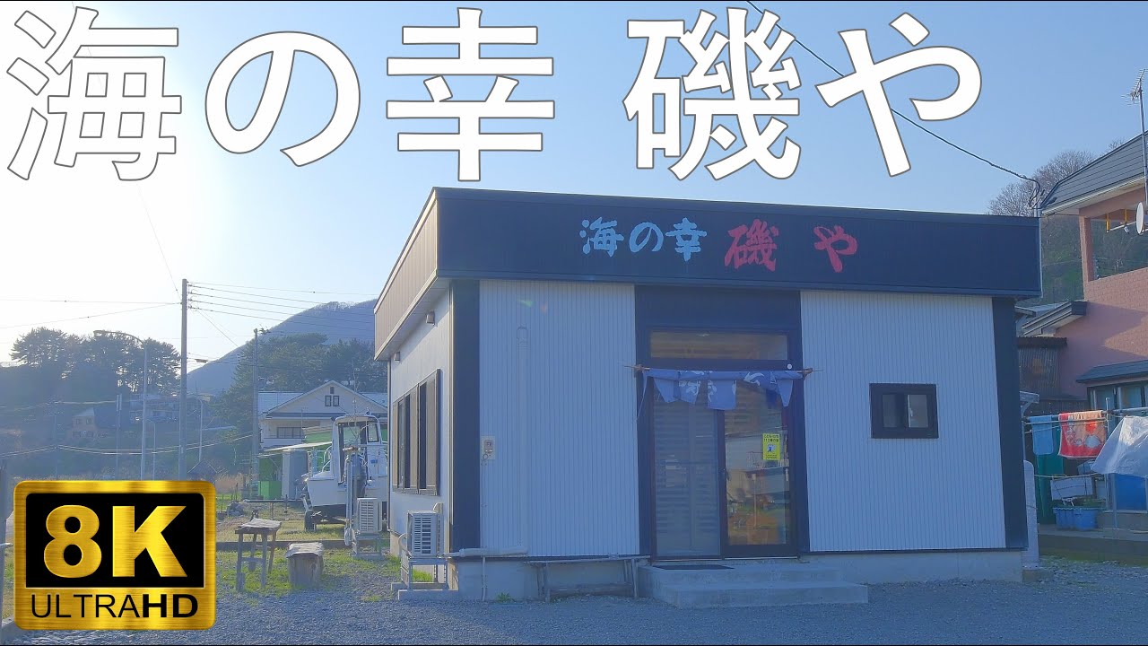 【海の幸磯や】最果ての名店 超新鮮なヤリイカ刺し【青森県中泊町】8K