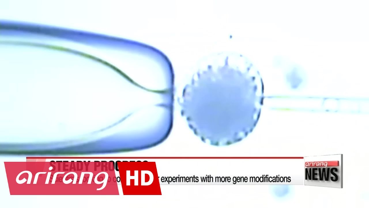 Korean researchers claim successful transplant of pig's cornea in a monkey