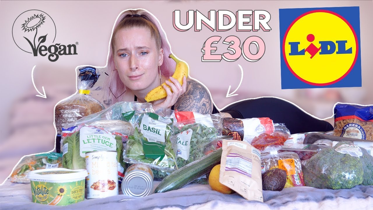 BUDGET VEGAN LIDL HAUL // £28.77