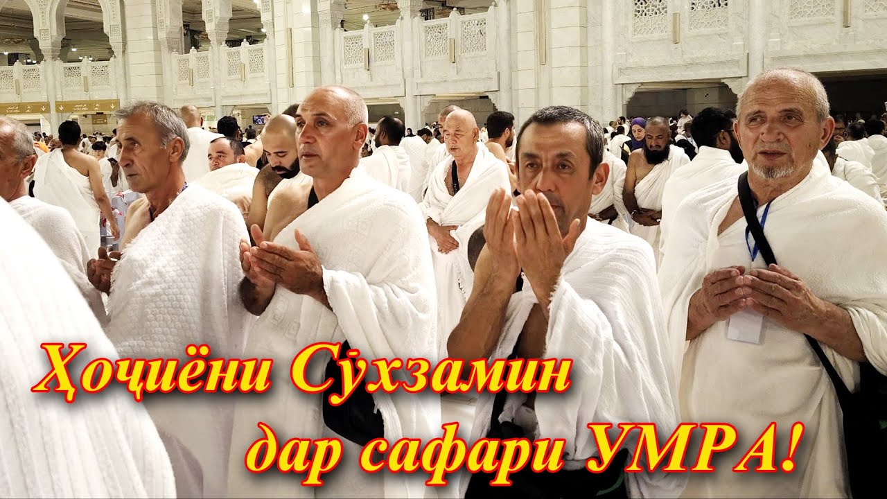 СӮХЛИКЛАР  