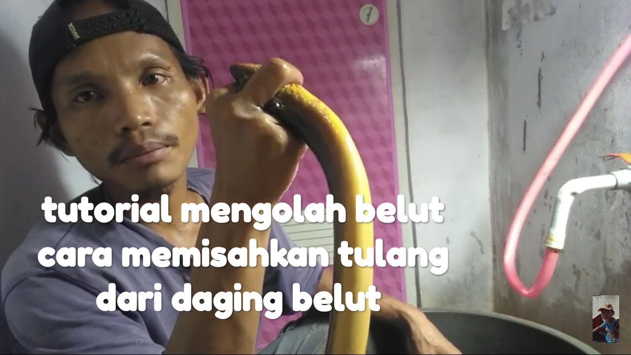 cara memisahkan tulang dari daging belut