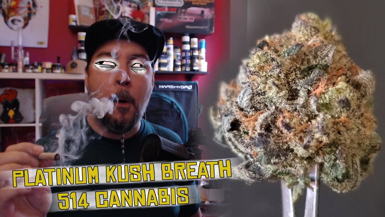 PLATINUM KUSH BREATH de 514 Cannabis (17,5 % THC) Great White North Growers SQDC Weed test review