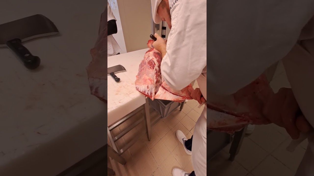 Desossage épaule de bœuf CAP Boucherie