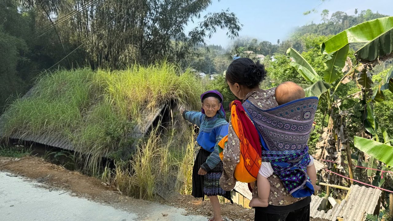 Abandoned on the streets, a kind old woman rescued the single mother and gave her her abandoned ho..
