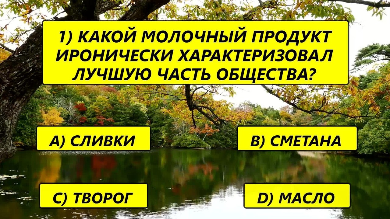 Испытание для ясного ума, оцените мудрость ваших лет! Задания, достойные вашего опыта!