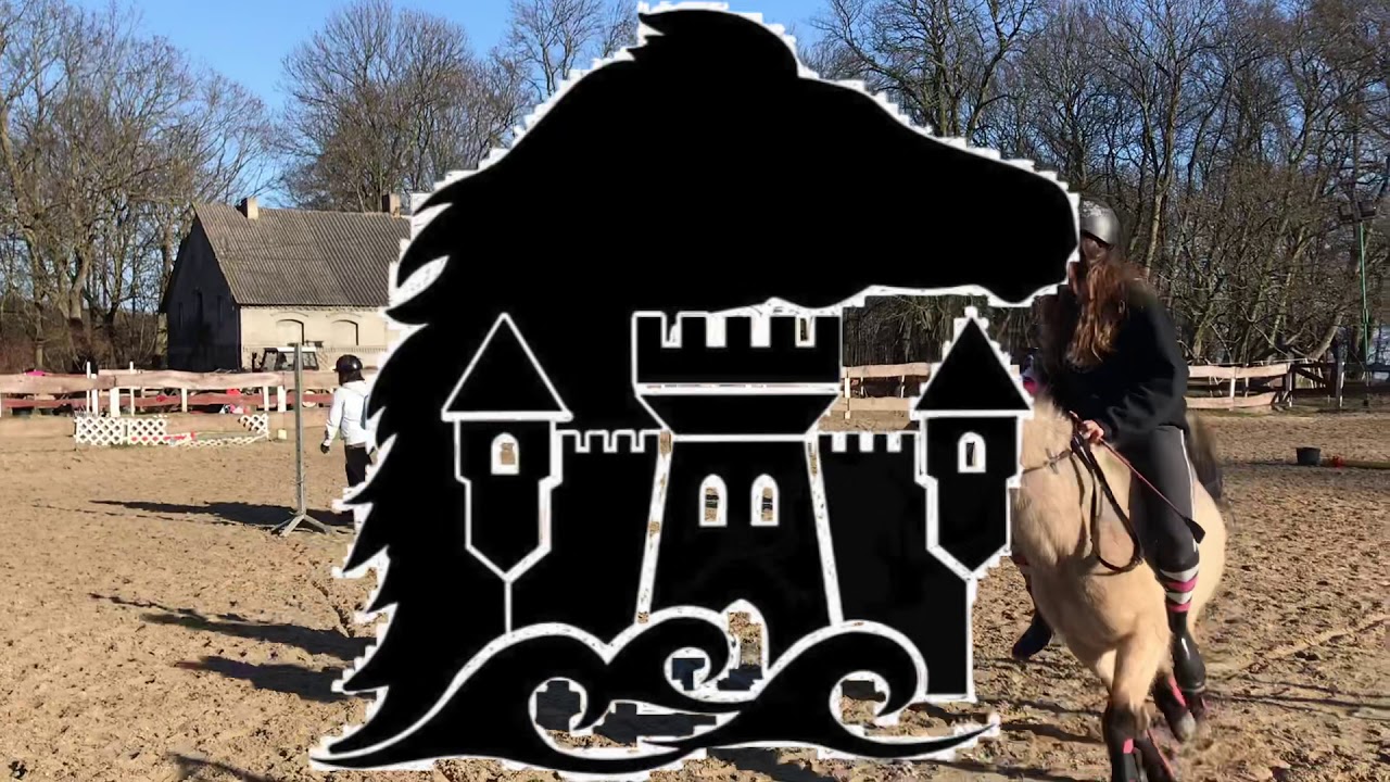 Oni by tak chcieli jeździć z nami! Ferie w siodle 2020 (Ronnie Ferrari cover Ona by tak chciała)