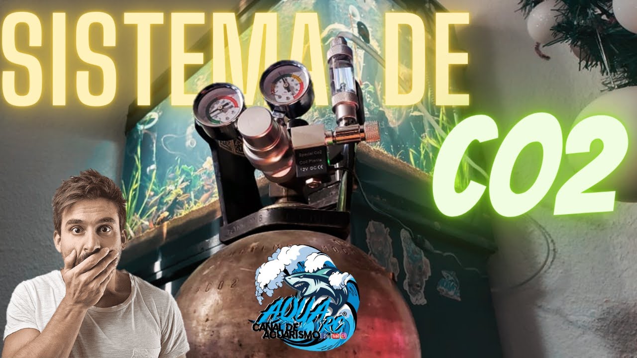 Tanque profesional de CO2 para el acuario plantado, lo mas facil de usar para tu acuario!!!!