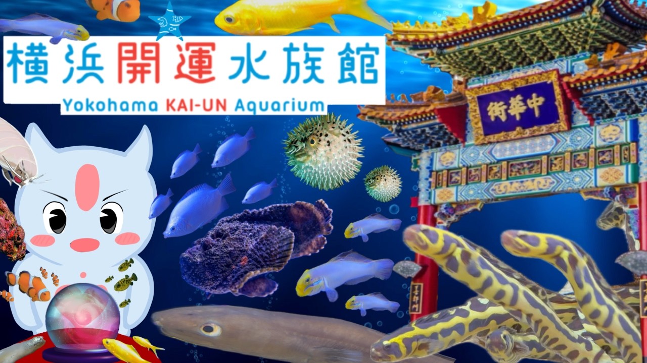 横浜開運水族館フォーチュンアクアリウム