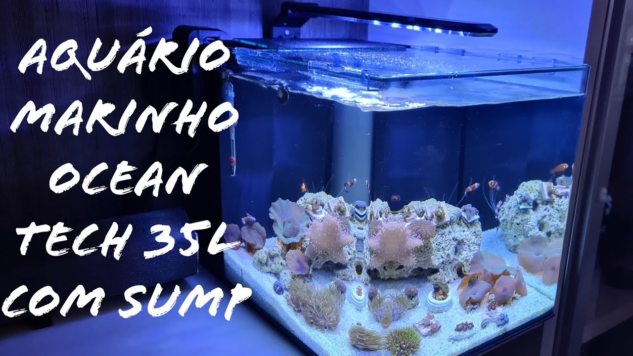 Virou Marinho! Aquário Marinho Ocean Tech 35L Com sump traseiro