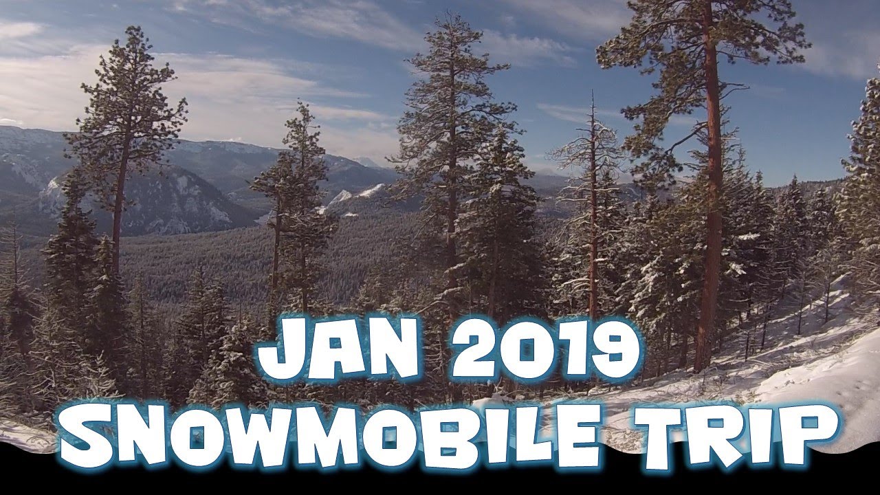 January 2019 