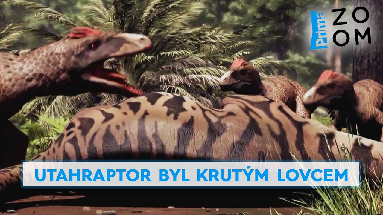 Utahraptor byl krut&yacute;m lovcem. Pod&iacute;vejte se, jak l&iacute;čil na kořist