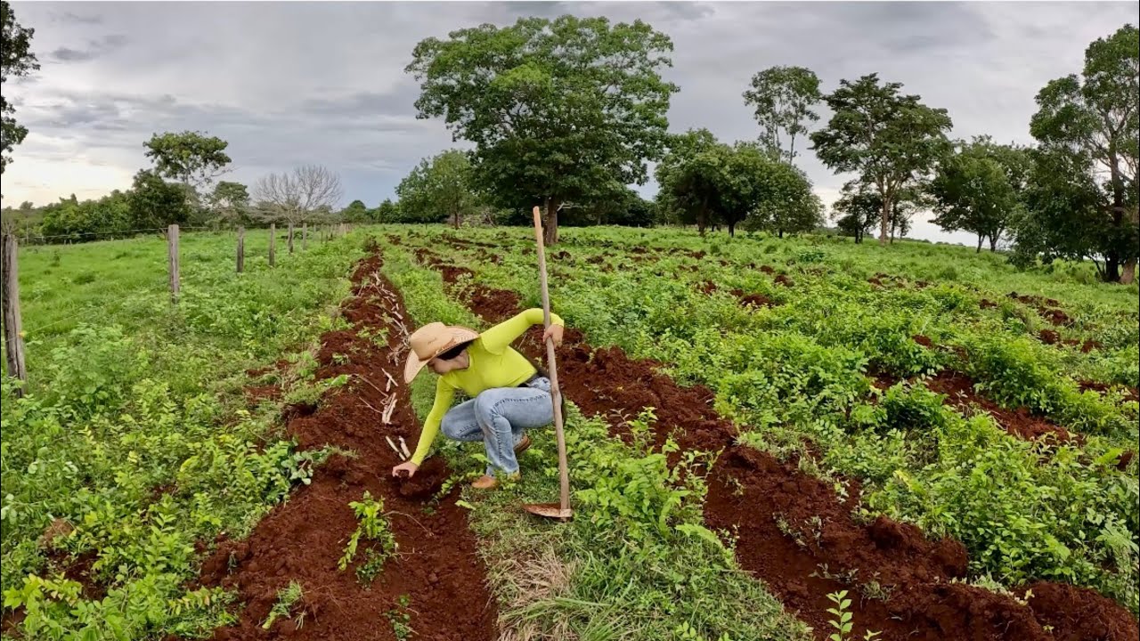 AGORA! VAMOS PLANTAR! O RESTO A GENTE VÊ DEPOIS 🤠🔥