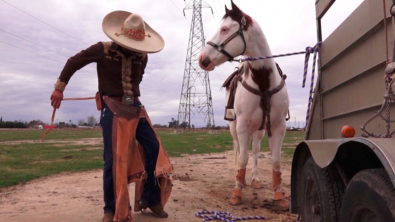 Gente de a Caballo - Lo mejor de los Coleaderos