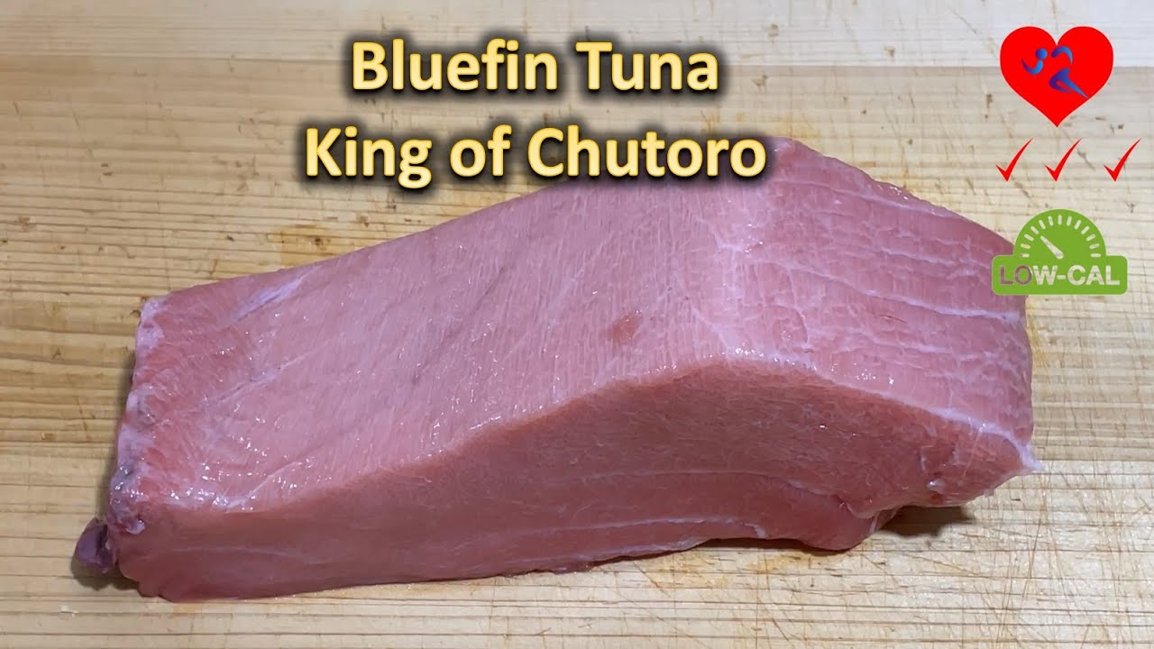 Bluefin Tuna King Of Chutoro Sushi