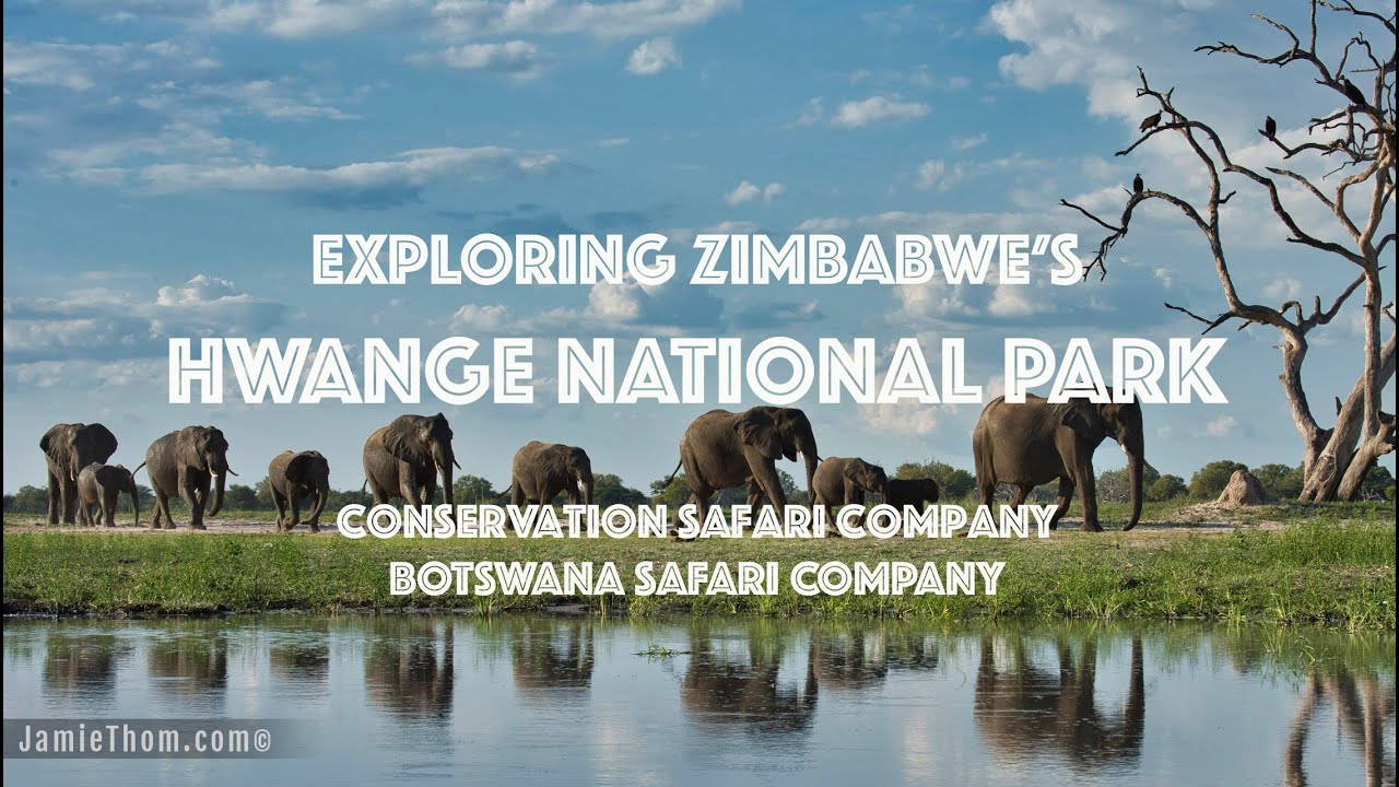 Go on Safari in Hwange National Park with Conservation Safari Company