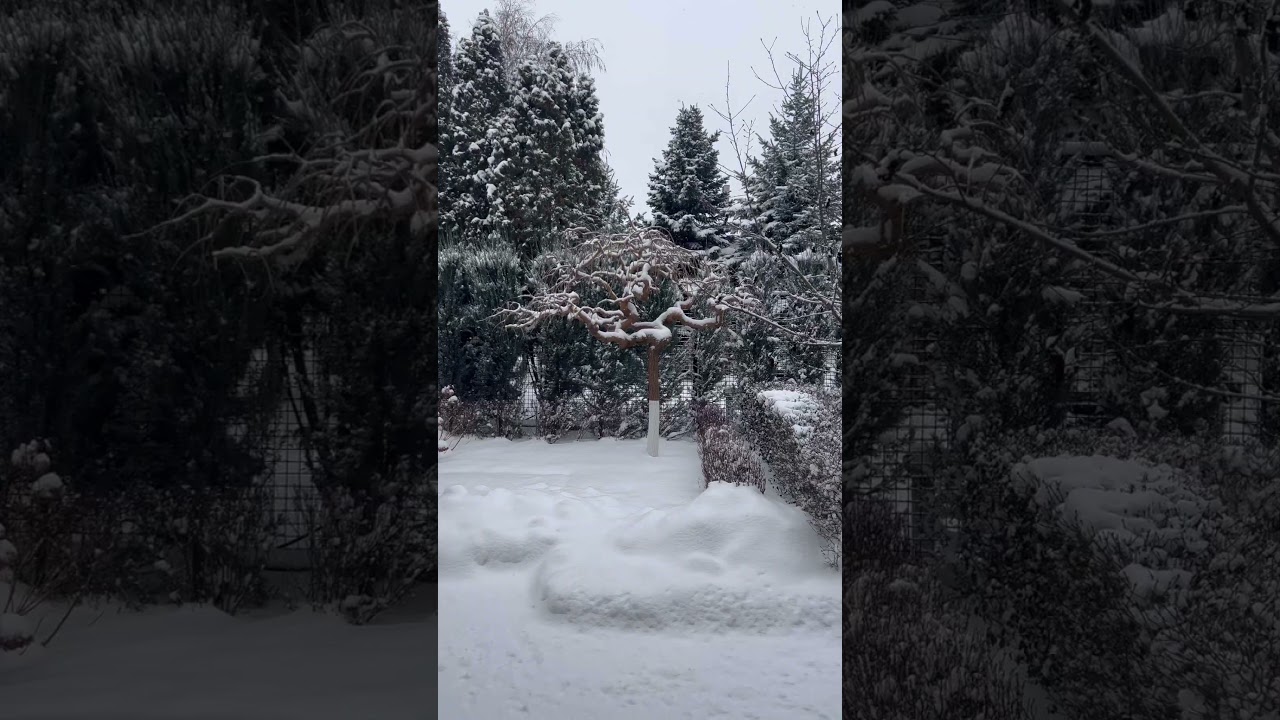 #winter