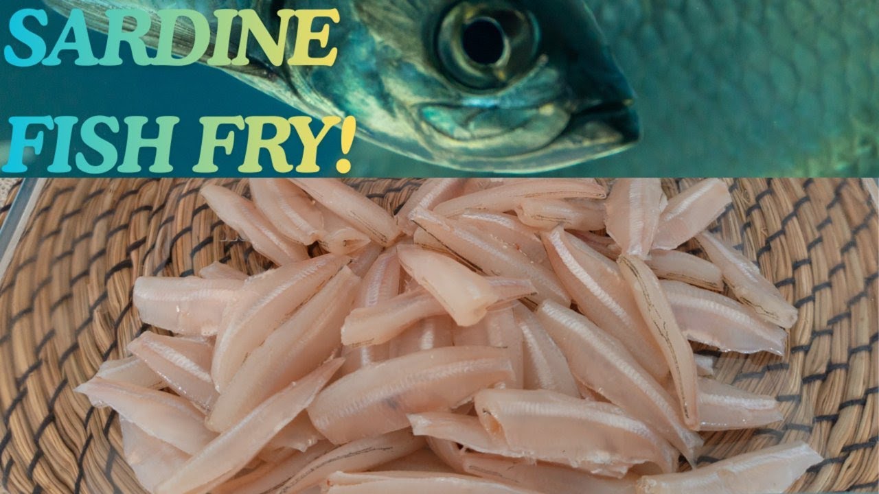 Once You Try This Sardine Fish Fry, You'll Love It/ Sardine Fish Fry Easy and Quick Recipe/