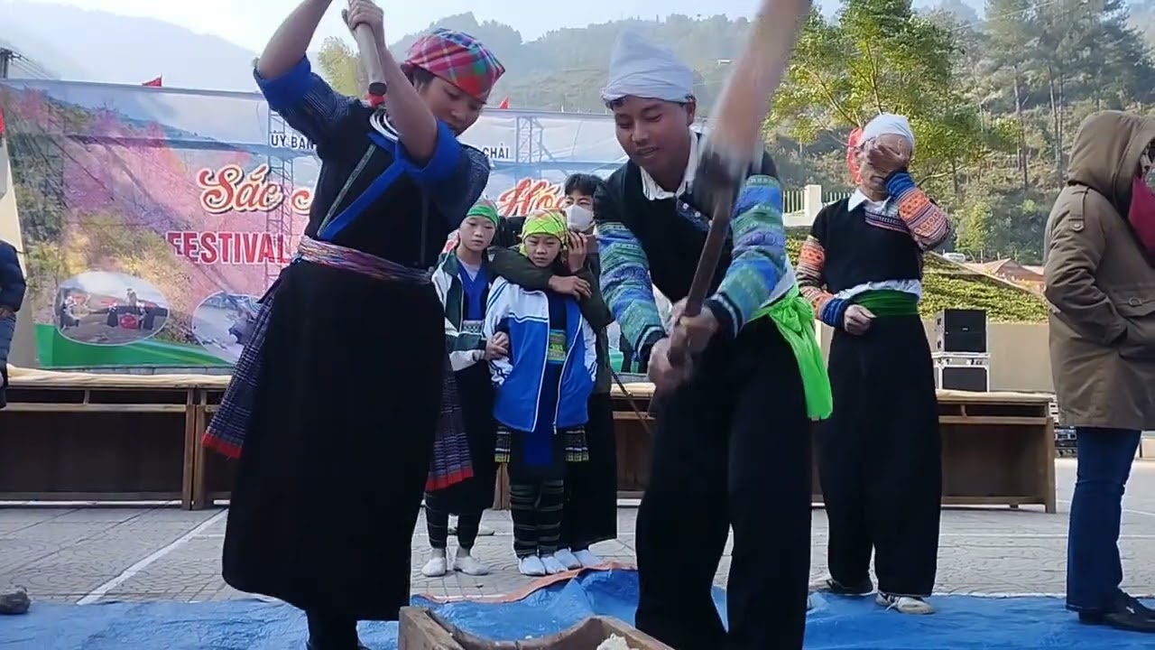 Giã bánh giầy thật nhuận nhịp tại huyện Mù Cang Chải
