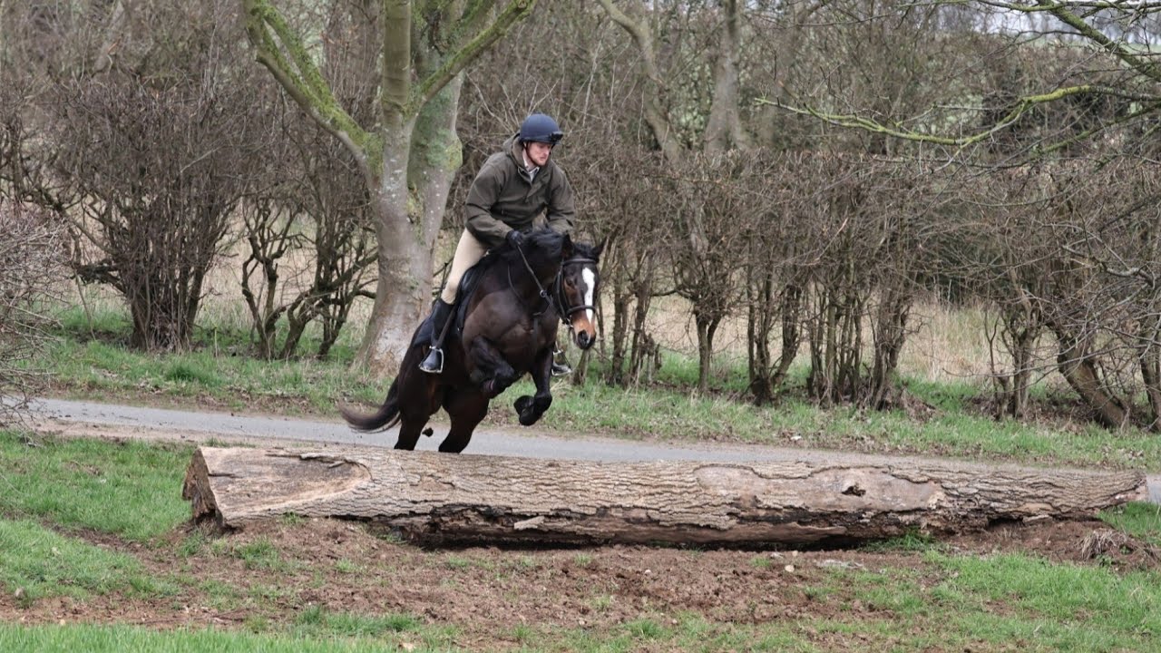 Cranwell Bloodhounds hound exercise day.