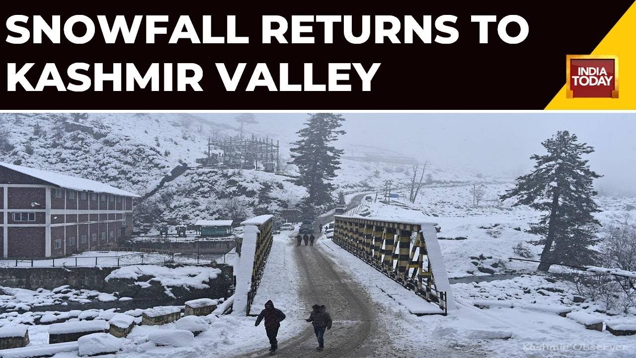 Snowfall Returns To Kashmir: Srinagar Turns White After Long Dry Winter Spell | India Today News