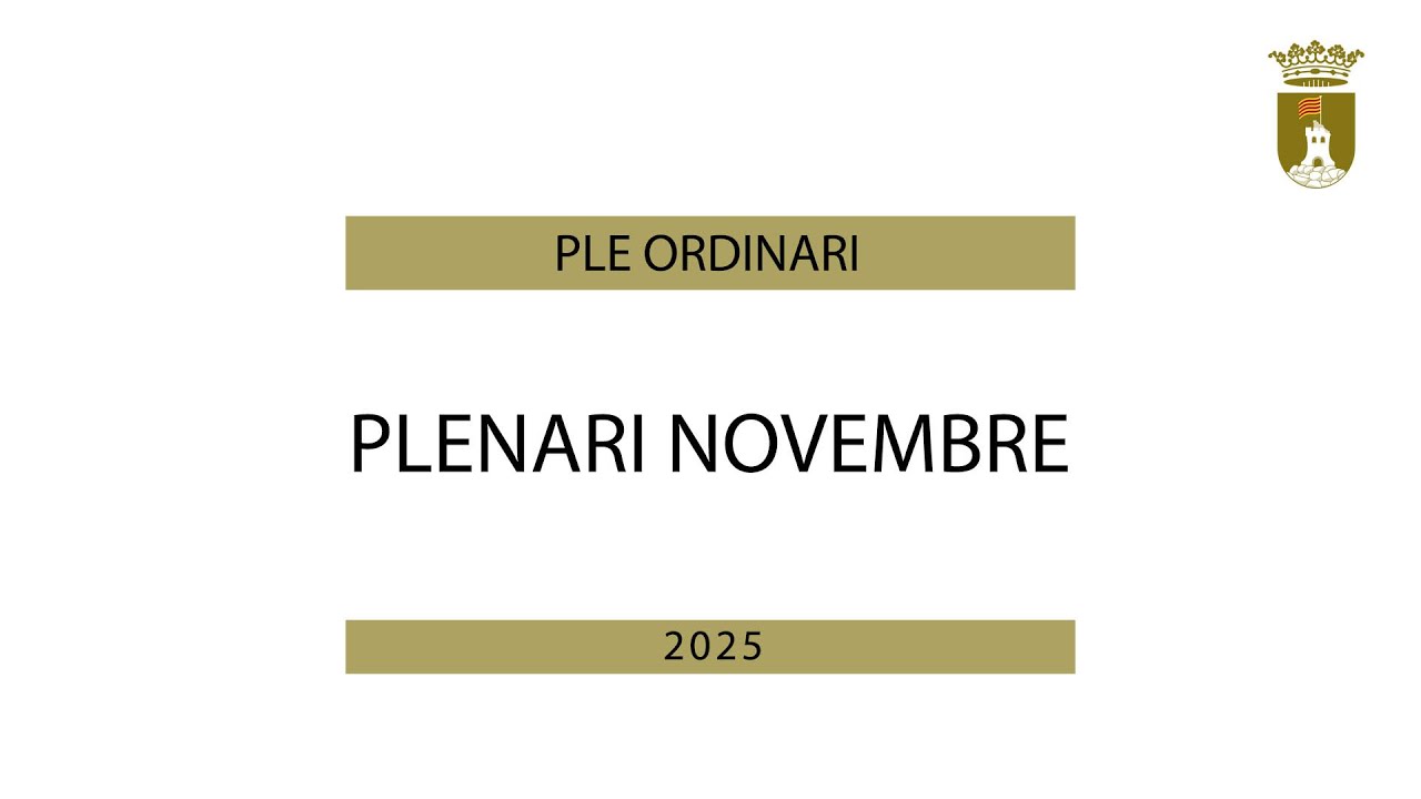 Plenari Novembre 2025