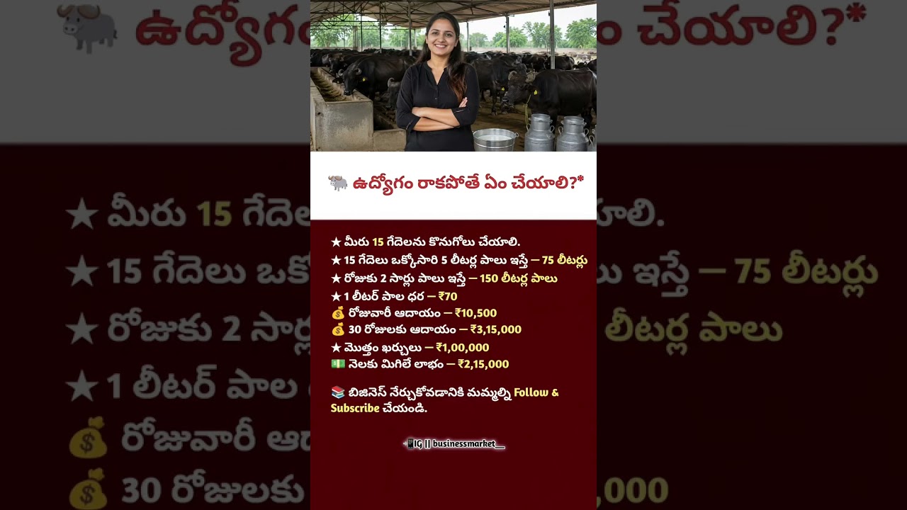 Business Awareness | Buffalo Dairy Profits, Smart Farming Investment & Entrepreneur Success Strategy
