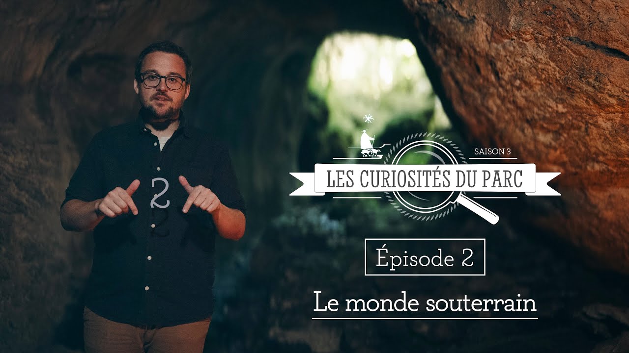 Les Curiosités du Parc - EP2/S3 - Le monde souterrain