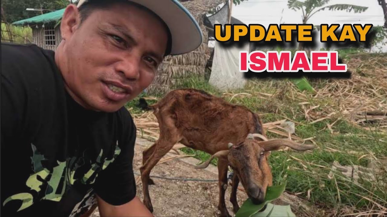 ISAMAEL MATABA NA@JaperSniperOfficial @kuyadangtv8604 
