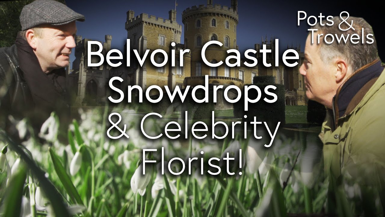Snowdrops and Celebrity Florist - Pots & Trowels