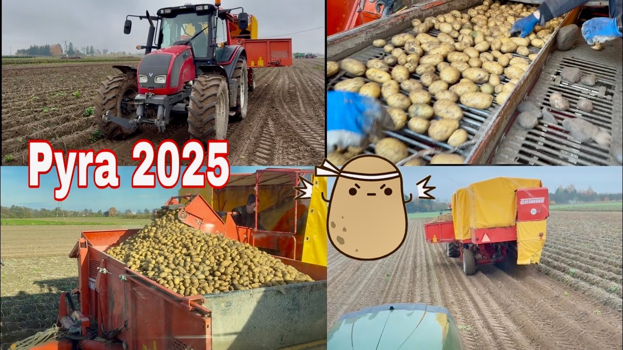 #880- Tata kręci vloga na odwozie! Gdzie on tam zagląda… To przechodzi na minimetry! 