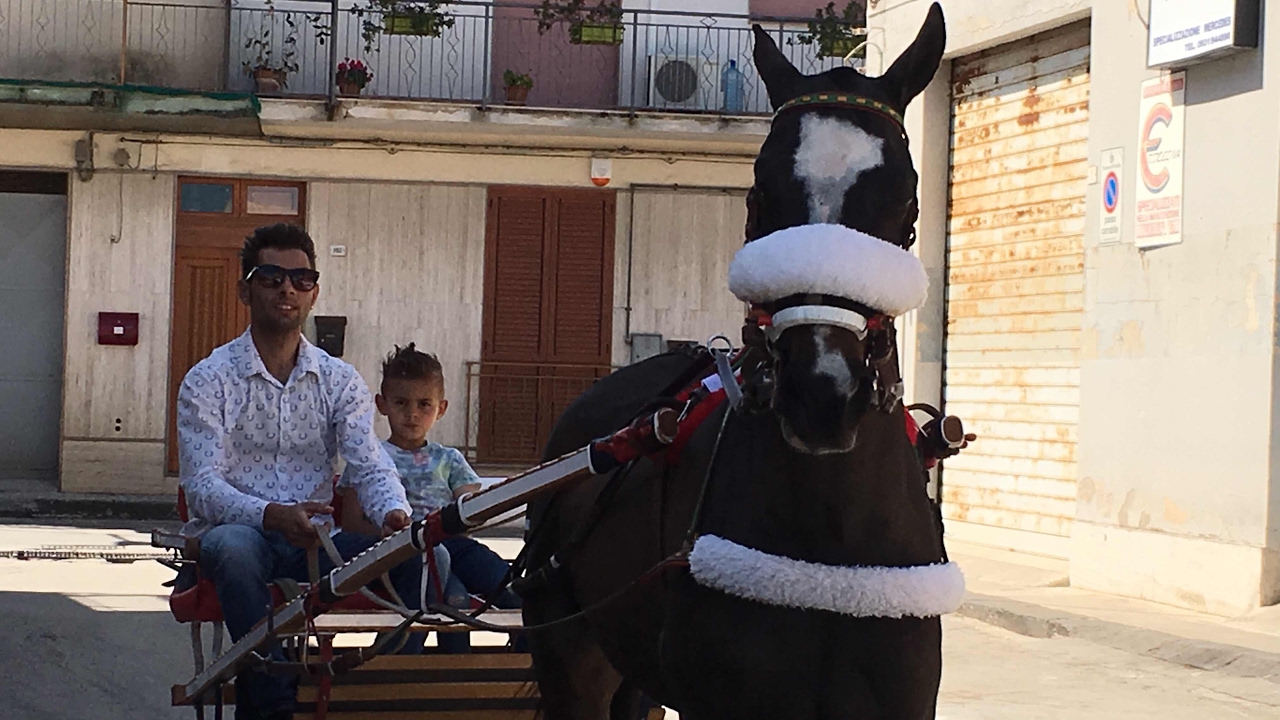 Sfilata di cavalli a Floridia Pasqua 2017