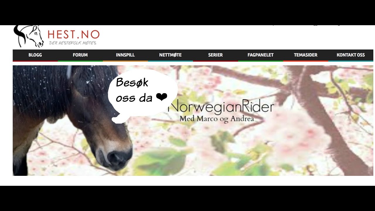 Intro til Hest.no