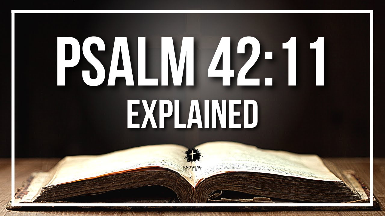 PSALM 42:11 Explained - What Does The Bible Verse PSALM 42:11 [KJV] REALLY Mean?