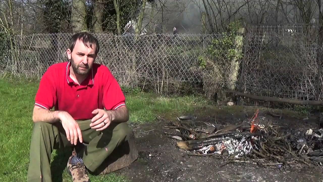 What is Survival and its 4 Principles