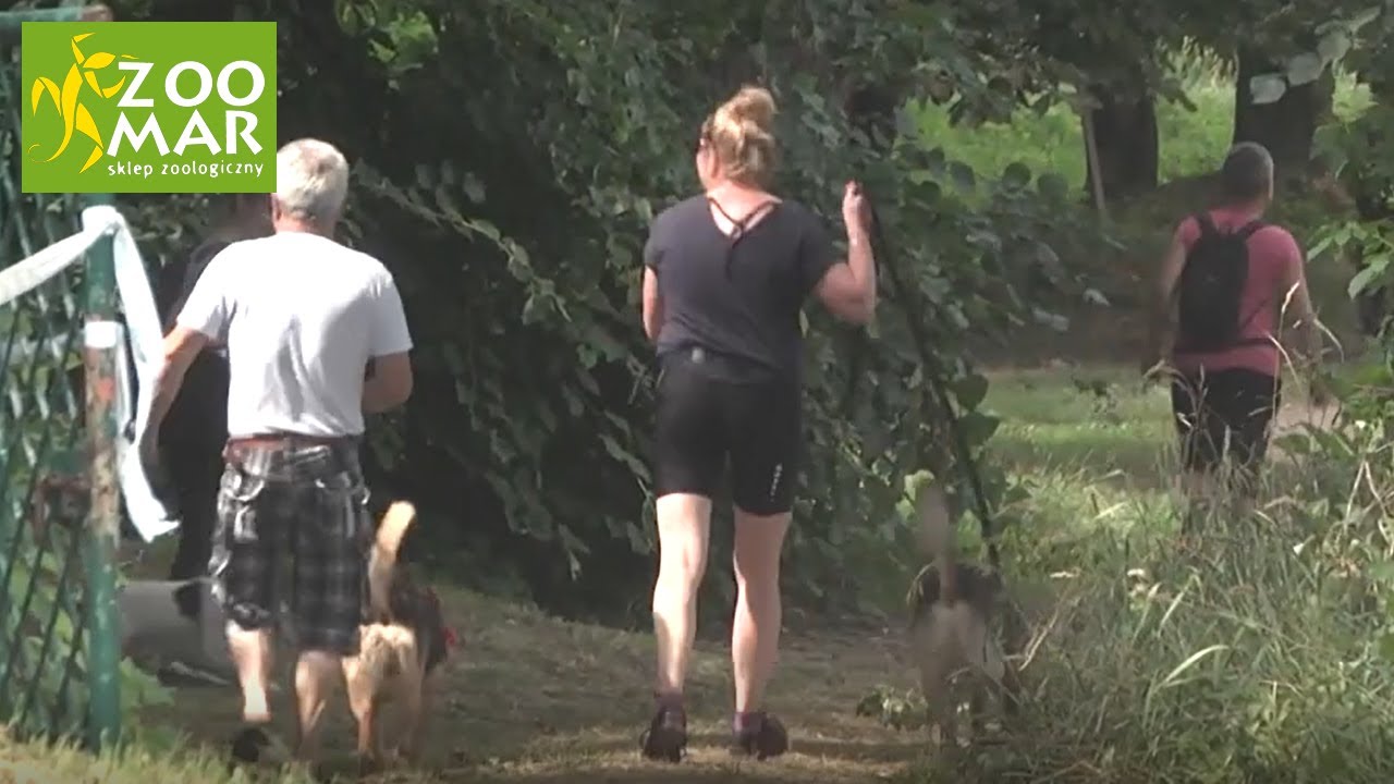DOGTREKKING - zawody w Raciborzu