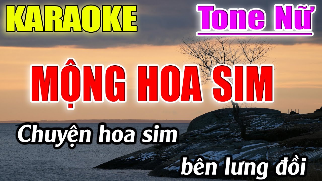 Mộng Hoa Sim ( Nhạc Sống Rumba ) Karaoke Tone Nữ ( Am ) Karaoke Lâm Beat - Beat Mới