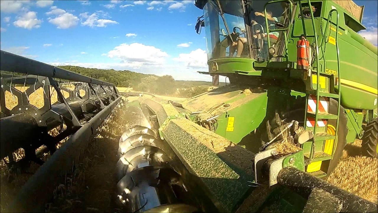 Ernte (harvest) 2015 Sponheim