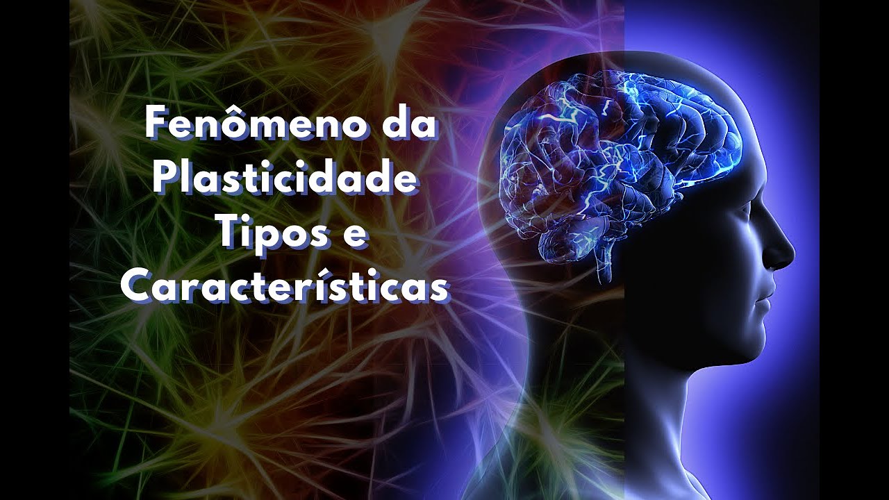 Fen&ocirc;meno da Plasticidade, Tipos e Caracter&iacute;sticas