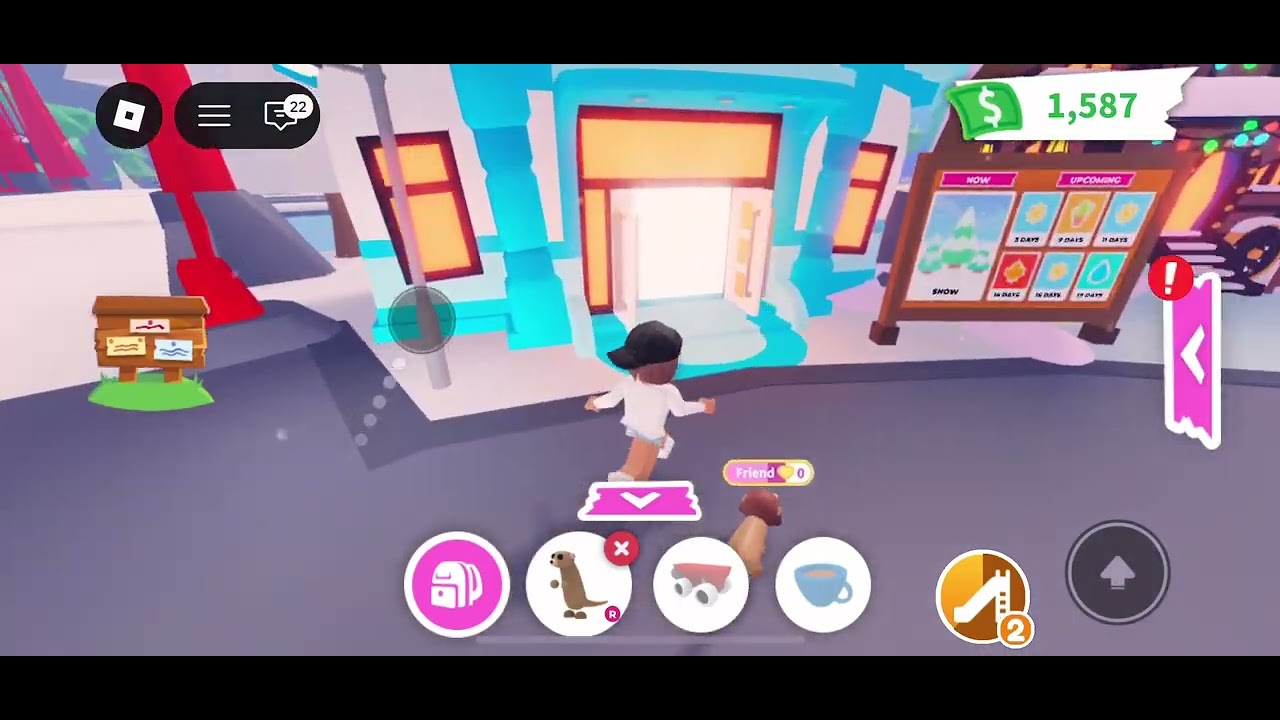 How to get your dream pets in 