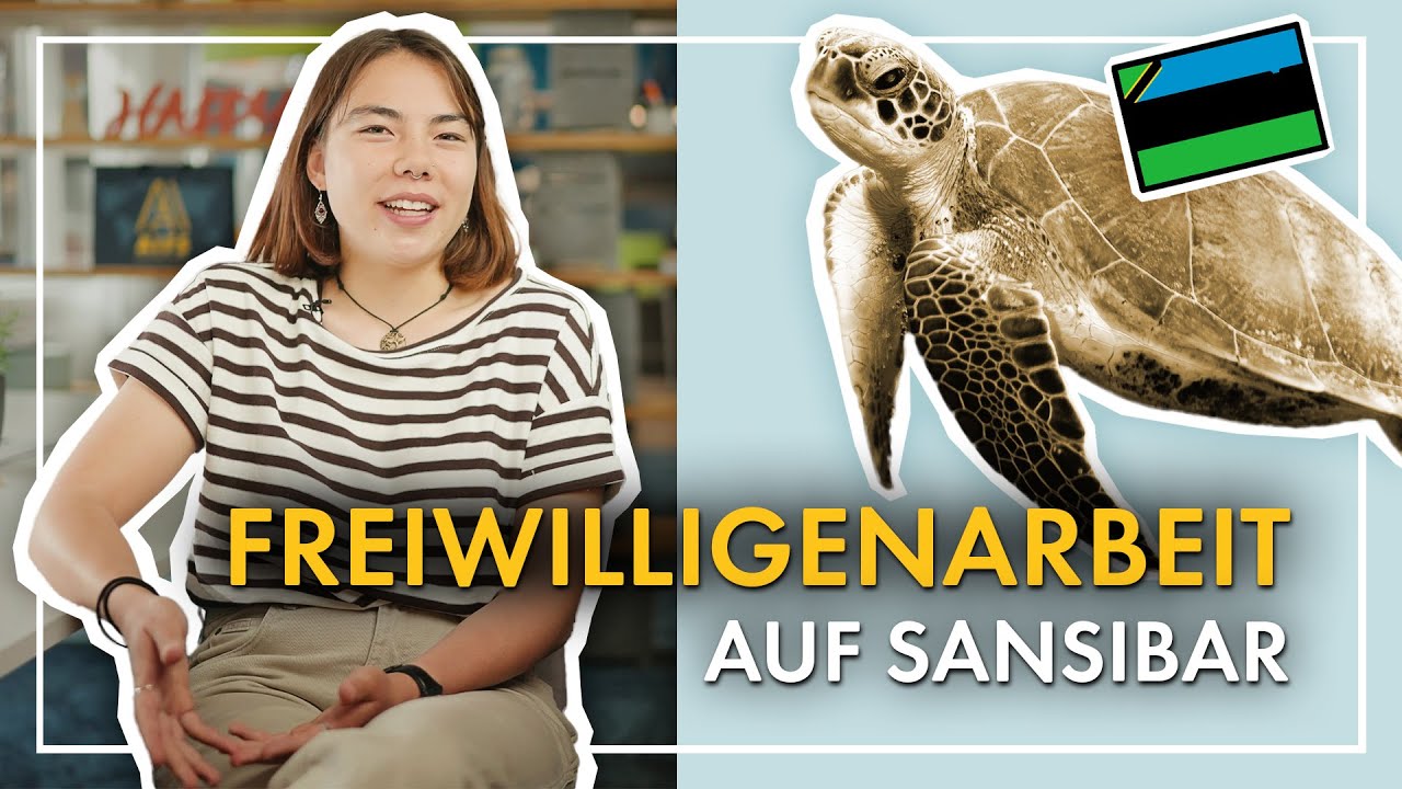 Schildkröten schützen auf Sansibar 🐢 | Natalies Freiwilligenarbeit auf der Trauminsel 😍